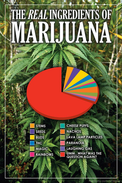 Laminated The Real Ingredients of Marijuana Funny Poster Dry Erase Sign 24x36