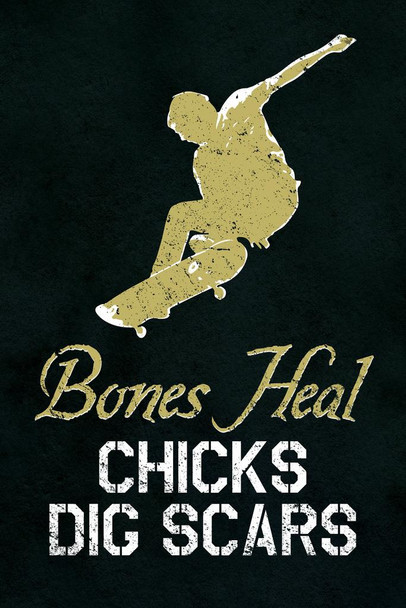 Laminated Bones Heal Chicks Dig Scars Skateboarding Poster Dry Erase Sign 24x36