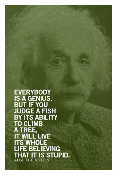 Laminated Albert Einstein Everybody Is A Genius Motivational Green Quote Poster Dry Erase Sign 24x36