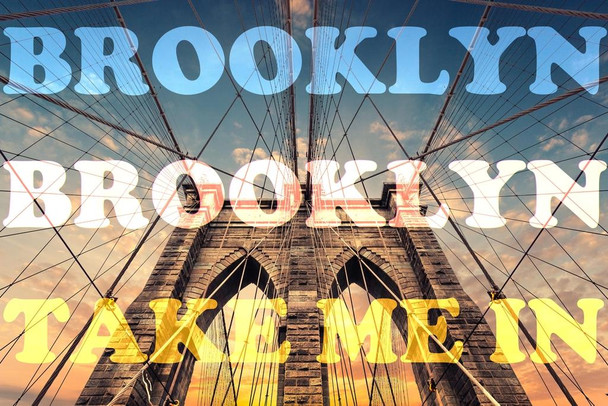 Laminated Brooklyn Brooklyn Take Me In Art Print Cool Wall Art Poster Dry Erase Wall Art 24x36