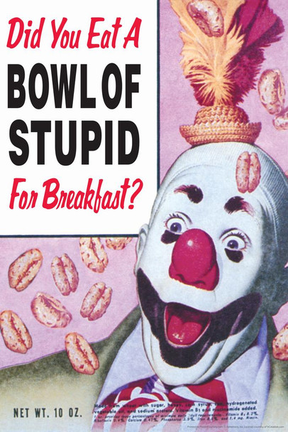 Laminated Did You Eat A Bowl Of Stupid For Breakfast Humor Cool Wall Art Poster Dry Erase Sign 24x36