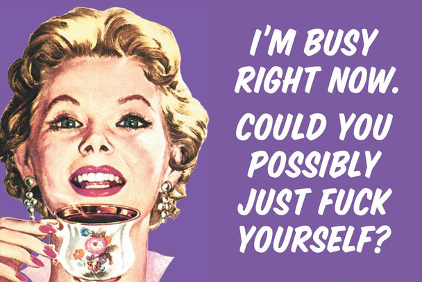 Laminated Im Busy Right Now Could You Possibly Just F*ck Yourself Humor Cool Wall Art Poster Dry Erase Wall Art 36x24