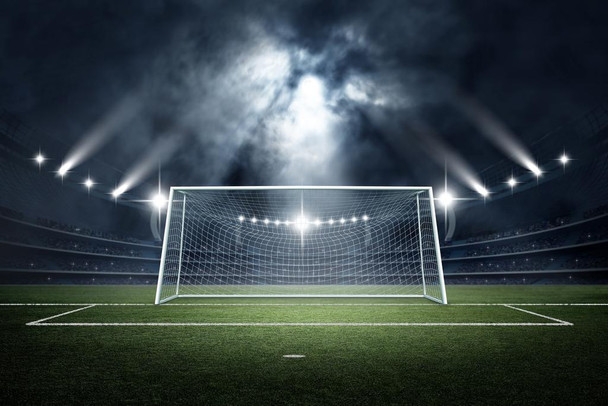 Laminated Soccer Goal Stadium Rendering Sports Photo Cool Wall Art Poster Dry Erase Sign 12x18