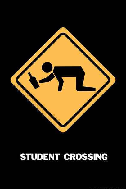 Laminated Student Crossing College Humor Cool Wall Art Poster Dry Erase Sign 24x36