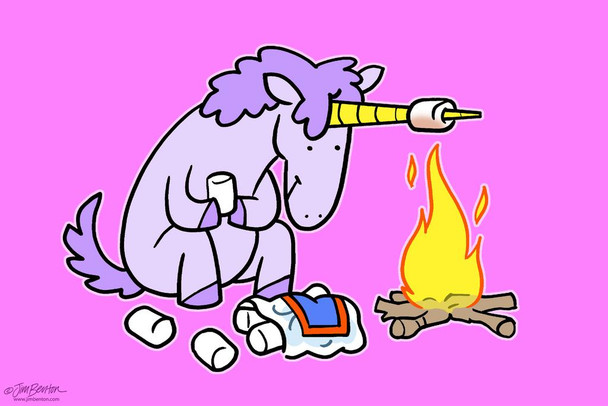 Laminated Jim Benton Unicorn Campfire Funny Poster Dry Erase Sign 24x36