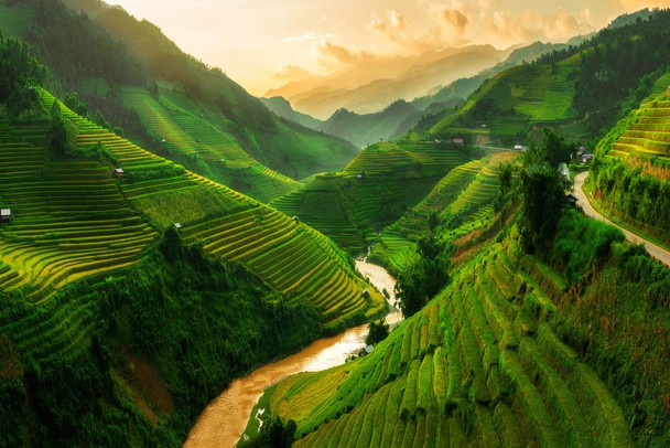 Laminated Terraced Rice Field in Mu Cang Chai Vietnam Photo Photograph Poster Dry Erase Sign 36x24