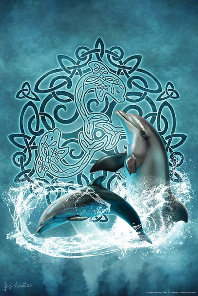 Laminated Celtic Dolphin by Brigid Ashwood Dolphin Poster Ocean Bathroom Pictures Dolphins Wall Art Dolphin Pictures For Wall Ocean Theme Room Decor Poster Dry Erase Wall Art 24x36