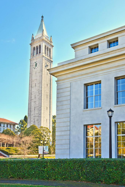 Laminated The Campanile Sather Tower University of California Berkeley Photo Photograph Poster Dry Erase Sign 24x36