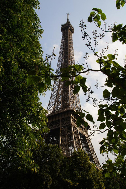 Laminated Eiffel Tower from Champ de Mars Paris France Photo Photograph Poster Dry Erase Wall Art 24x36