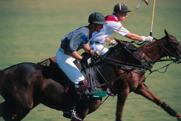 Laminated Two Polo Players at a Match Photo Poster Horse Pictures Wall Decor Horse Poster Print Horse Breed Poster Running Posters Horse Picture Wall Art Jockey Poster Dry Erase Wall Art 36x24
