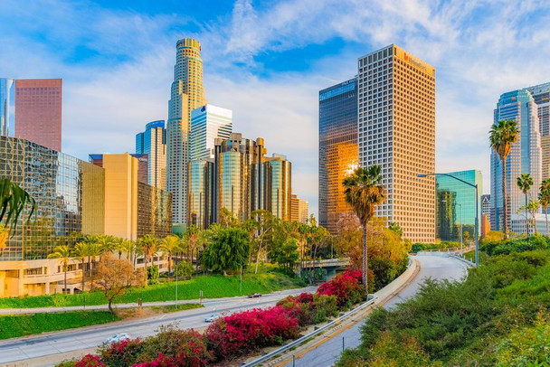 Laminated Los Angeles California Downtown Skyline Photo Photograph Poster Dry Erase Sign 36x24