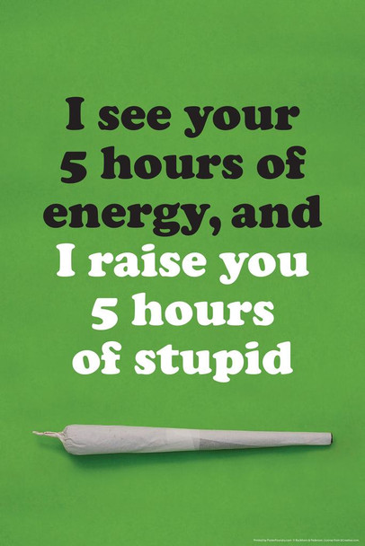 Laminated I See Your 5 Hours of Energy Raise You 5 Hours of Stupid Funny Poster Dry Erase Wall Art 24x36