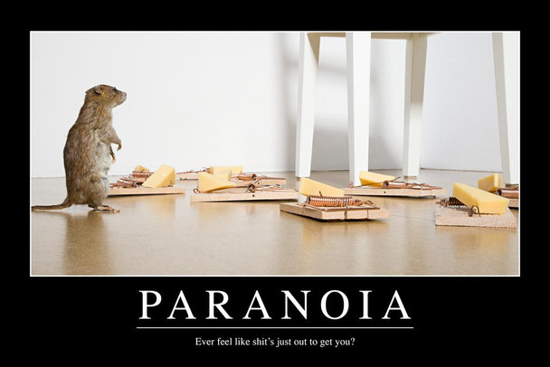 Laminated Paranoia Funny Demotivational Poster Dry Erase Sign 24x36