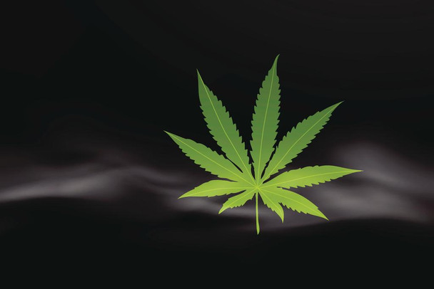 Laminated Marijuana Leaf in Smoke Photo Photograph Poster Dry Erase Sign 36x24