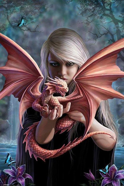 Laminated Anne Stokes Dragonkin Poster Dry Erase Sign 24x36