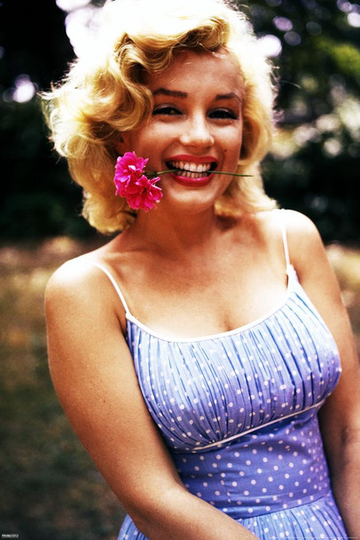 Laminated Marilyn Monroe Flower Overlay Movie Poster Dry Erase Sign 24x36