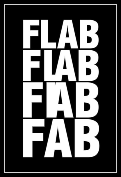 Laminated Flab To Fab Black and White Art Print Poster Dry Erase Sign 24x36