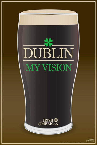 Laminated Dublin My Vision Irish OMerican Funny Poster Dry Erase Sign 24x36