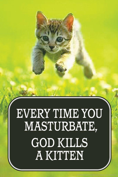 Laminated Every Time You Masturbate God Kills a Kitten Humor Poster Dry Erase Wall Art 24x36