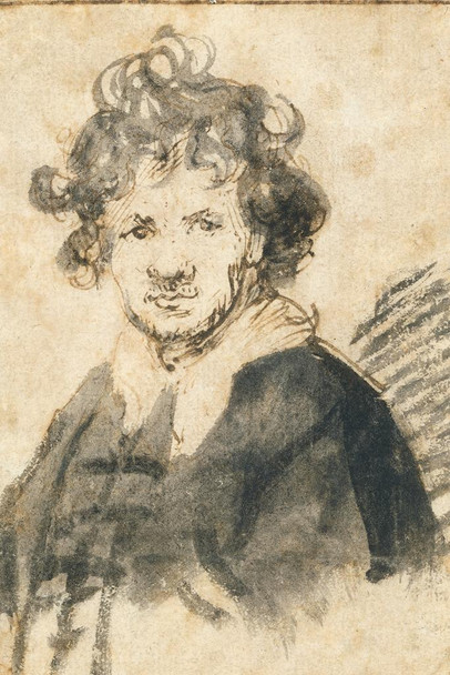 Laminated Rembrandt Self Portrait With Tousled Hair 1629 Pen Drawing Realism Artwork Rembrandt Paintings on Canvas Prints Portrait Painting Wall Art Renaissance Posters Poster Dry Erase Sign 24x36