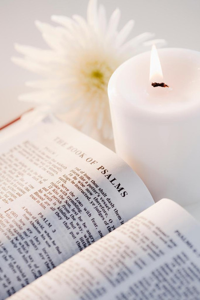 Book of Psalms Aster Flower and White Candle Art Print Laminated Dry Erase Sign Poster 24x36