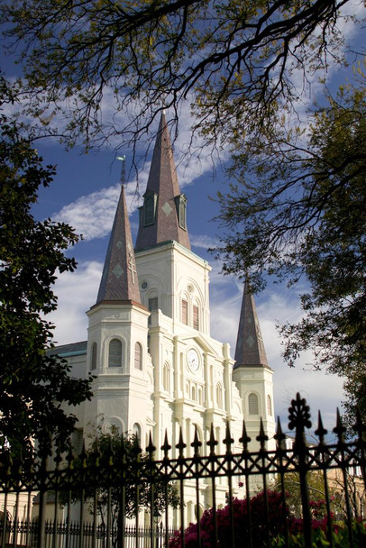 Laminated Saint Louis Cathedral Through The Trees Photo Photograph Poster Dry Erase Wall Art 24x36