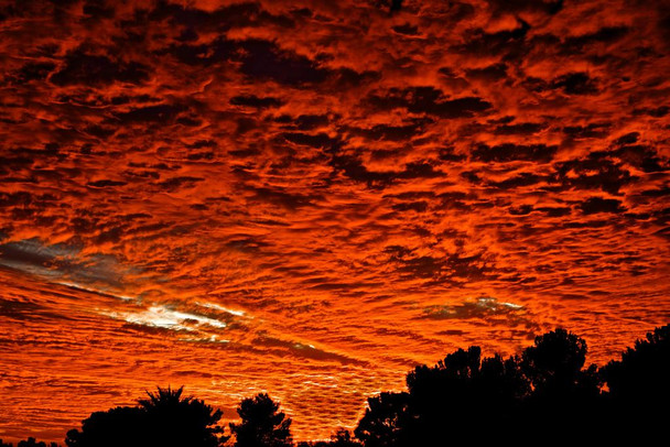 Laminated Fire in the Sky at Dusk El Paso Texas Photo Photograph Poster Dry Erase Wall Art 36x24