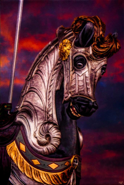 Laminated Sir Carousel Horse by Chris Lord Photo Photograph Poster Horse Pictures Wall Decor Horse Poster Print Horse Carnival Poster Horse Picture Wall Art Merry Go Round Poster Dry Erase Wall Art 24x36