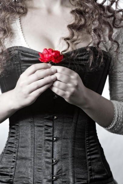 Laminated Woman in Victorian Corset Holding Red Rose Photo Photograph Poster Dry Erase Wall Art 24x36