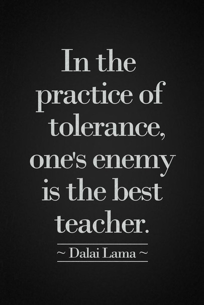 Laminated Dalai Lama In The Practice Of Tolerance Ones Enemy Is The Best Teacher Black White Motivational Poster Dry Erase Sign 24x36