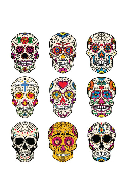 Laminated Beautiful Sugar Skulls Collage Dia Muertos Style Artistic Drawing Poster Dry Erase Wall Art 24x36