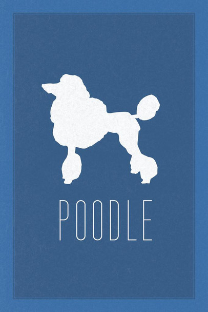 Dogs Poodle Blue Laminated Dry Erase Wall Poster 24x36