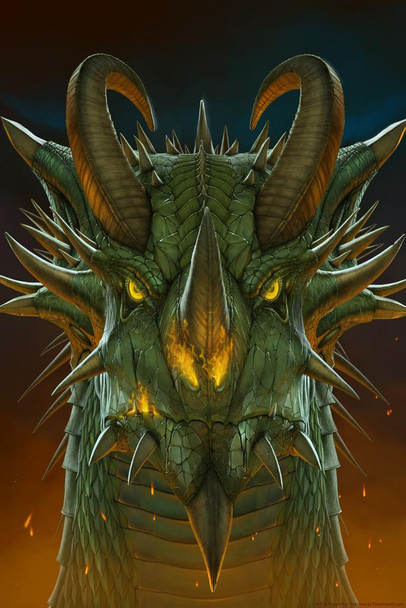 Laminated Dragon Face Portrait by Vincent Hie Art Print Poster Dry Erase Wall Art 24x36