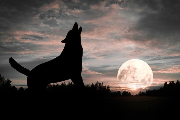 Lone Wolf Silhouette Howling At Moon Dramatic Wolf Posters For Walls Posters Wolves Print Posters Art Wolf Wall Decor Nature Posters Wolf Decorations for Bedroom Cool Huge Large Giant Poster Art 54x36