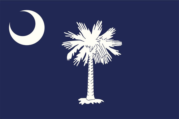 Flag of South Carolina Art Print Thick Paper Sign Print Picture 12x8