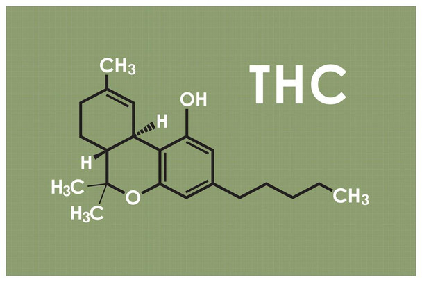 THC Marijuana Molecule Science Green Chemistry Weed Cannabis Room Dope Gifts Guys Propaganda Smoking Stoner Reefer Stoned Sign Buds Pothead Dorm Walls Thick Paper Sign Print Picture 8x12