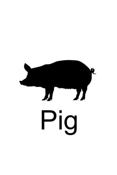 Farm Animals Pig Silhouette Classroom Learning Aids Barnyard Farming White Thick Paper Sign Print Picture 8x12