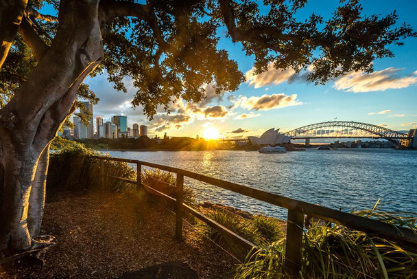 Sydney Opera House and Sydney Harbor Bridge at Dusk Photo Photograph Thick Paper Sign Print Picture 12x8