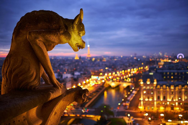 Notre Dame Cathedral Gargoyle Paris at Night Photo Photograph Thick Paper Sign Print Picture 12x8