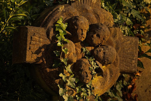 Highgate Cemetery London UK Cross With Angels Ivy Photo Photograph Thick Paper Sign Print Picture 12x8