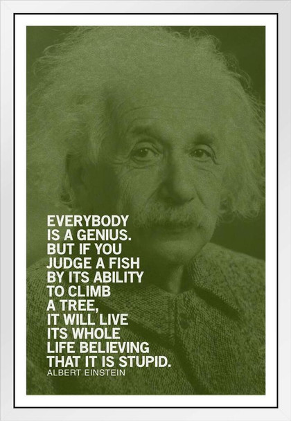 Albert Einstein Everybody Is A Genius Motivational Green Quote White Wood Framed Poster 14x20
