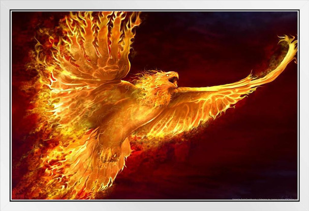 Phoenix Rising Flaming Eagle by Tom Wood Fantasy Poster Bird On Fire Like Dragon Magical Mystical Animal Creature White Wood Framed Art Poster 14x20