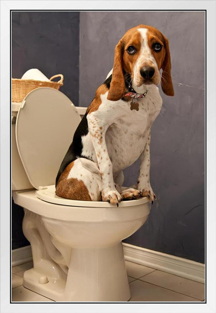 Dog Sitting On Toilet Funny Bathroom Humor Photo Dog Posters For Wall Funny Dog Wall Art Dog Wall Decor Dog Posters For Kids Animal Wall Poster Cute Animal White Wood Framed Art Poster 14x20