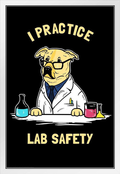 I Practice Lab Safety Labrador Dog Funny Parody LCT Creative White Wood Framed Poster 14x20