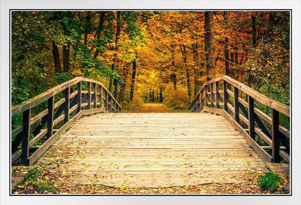 Bridge In Autumn Forest Foliage Tree Landscape Nature Photo Photograph White Wood Framed Poster 20x14