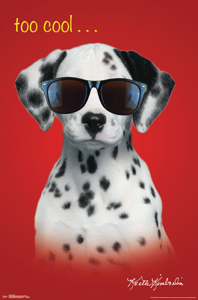 Too Cool Keith Kimberlin Dalmatian Dog Puppy Doggy Doggie Doggo Wearing Sunglasses Shades Humor Hilarious Cute Adorable Red Kids Children Room Cool Wall Decor Art Print Poster 22x34