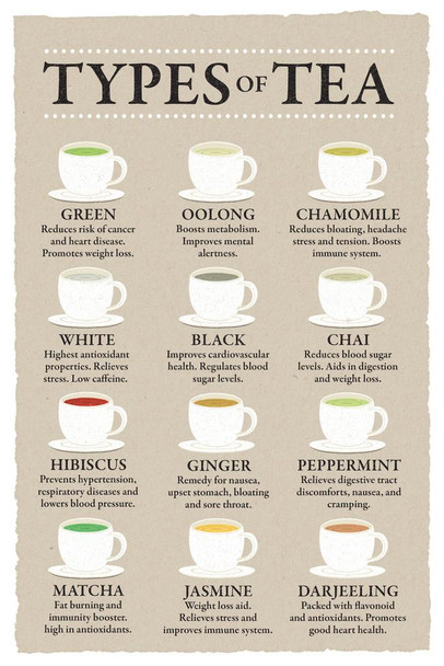 Types of Tea Chart Poster Health Benefits Diagram Varieties Infographic Like Coffee Drink Kitchen Cafe Decoration Beige Thick Paper Sign Print Picture 8x12