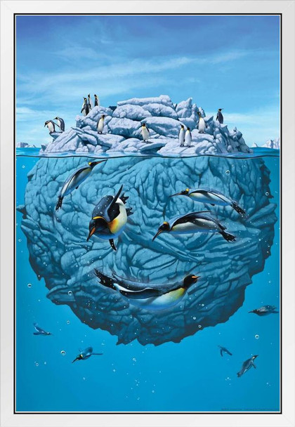 Penguin Wink Diving Ice Ball by Vincent Hie Penguin Poster Penguin Home Decor Emperor Penguin Wall Decor Arctic Ice Animal Wildlife Art Print Snow Nature Print White Wood Framed Art Poster 14x20