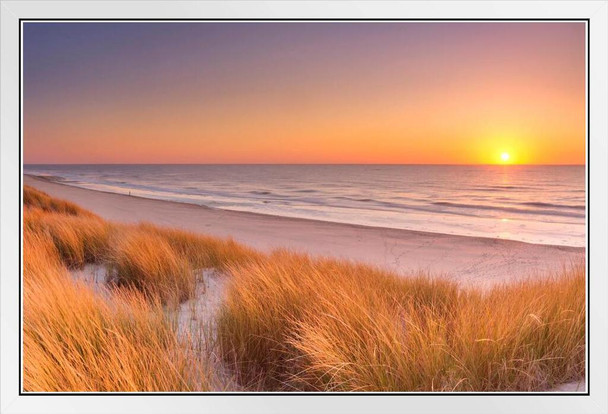 Dunes Beach At Sunset Texel Island The Netherlands Photo White Wood Framed Poster 20x14