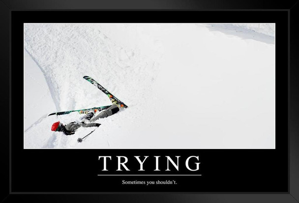 Trying Sometimes You Shouldnt Funny Demotivational Art Print Stand or Hang Wood Frame Display Poster Print 9x13